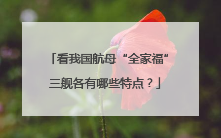 看我国航母“全家福” 三舰各有哪些特点？