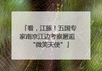 看，江豚！五国专家南京江边考察邂逅“微笑天使”