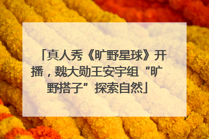 真人秀《旷野星球》开播，魏大勋王安宇组“旷野搭子”探索自然
