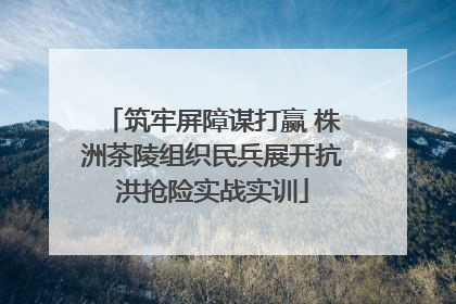 筑牢屏障谋打赢 株洲茶陵组织民兵展开抗洪抢险实战实训