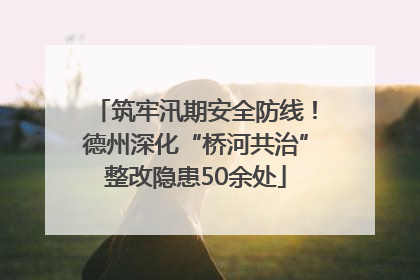 筑牢汛期安全防线！德州深化“桥河共治”整改隐患50余处