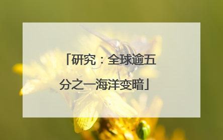 研究：全球逾五分之一海洋变暗