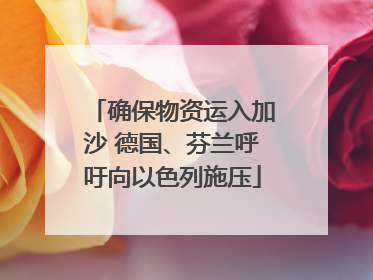 确保物资运入加沙 德国、芬兰呼吁向以色列施压