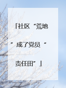 社区“荒地”成了党员“责任田”