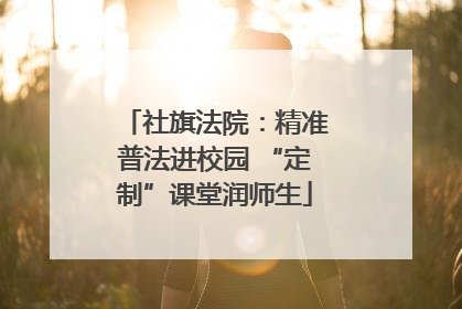 社旗法院：精准普法进校园 “定制”课堂润师生