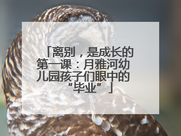 离别，是成长的第一课：月雅河幼儿园孩子们眼中的“毕业”