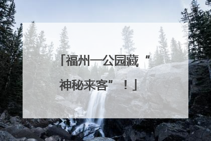 福州一公园藏“神秘来客”！
