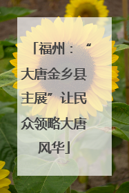 福州：“大唐金乡县主展”让民众领略大唐风华