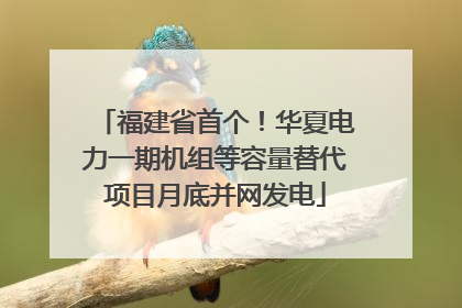 福建省首个！华夏电力一期机组等容量替代项目月底并网发电