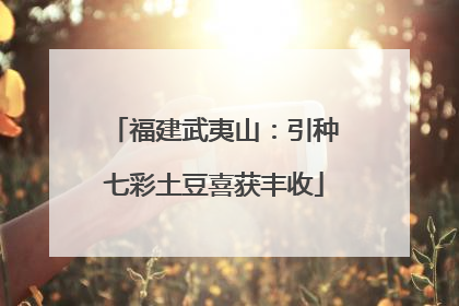 福建武夷山：引种七彩土豆喜获丰收