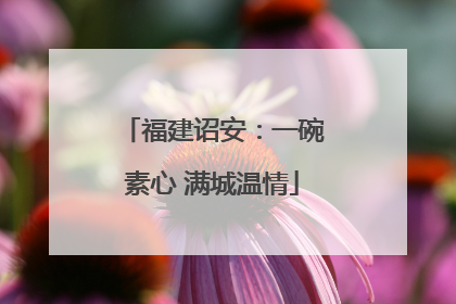 福建诏安：一碗素心 满城温情