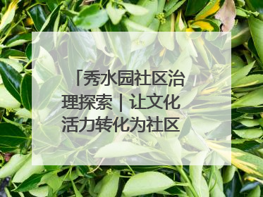秀水园社区治理探索｜让文化活力转化为社区治理动力