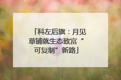 科左后旗：月见草铺就生态致富“可复制”新路