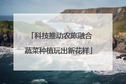科技推动农旅融合 蔬菜种植玩出新花样