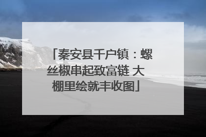 秦安县千户镇：螺丝椒串起致富链 大棚里绘就丰收图