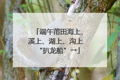 端午莆田海上、溪上、湖上、沟上“扒龙船”→