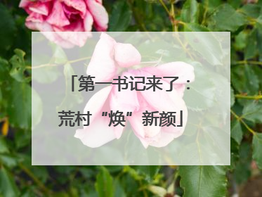 第一书记来了：荒村“焕”新颜