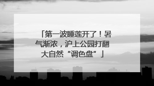 第一波睡莲开了！暑气渐浓，沪上公园打翻大自然“调色盘”