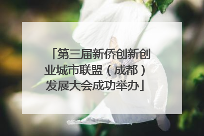 第三届新侨创新创业城市联盟（成都）发展大会成功举办
