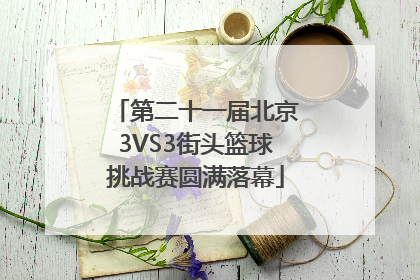 第二十一届北京3VS3街头篮球挑战赛圆满落幕