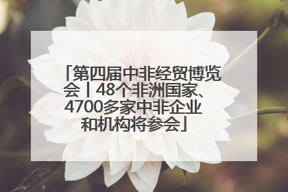 第四届中非经贸博览会丨48个非洲国家、4700多家中非企业和机构将参会