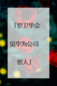 罗卫华会见华为公司客人