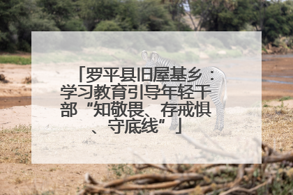 罗平县旧屋基乡：学习教育引导年轻干部“知敬畏、存戒惧、守底线”