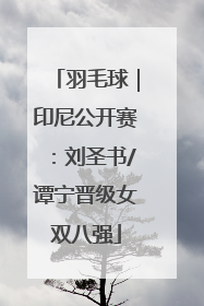 羽毛球｜印尼公开赛：刘圣书/谭宁晋级女双八强