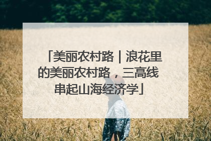 美丽农村路｜浪花里的美丽农村路，三高线串起山海经济学