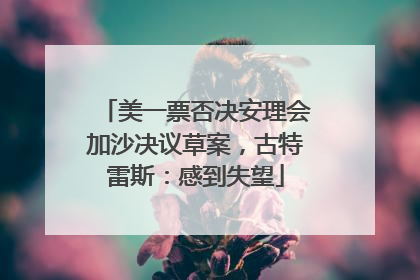 美一票否决安理会加沙决议草案，古特雷斯：感到失望