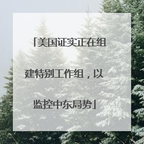 美国证实正在组建特别工作组，以监控中东局势