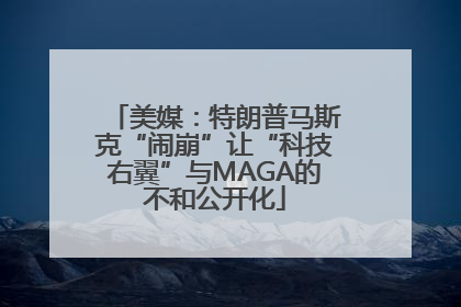 美媒：特朗普马斯克“闹崩”让“科技右翼”与MAGA的不和公开化