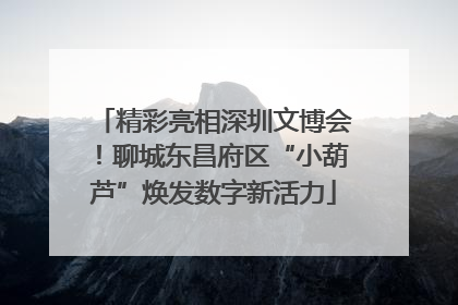 精彩亮相深圳文博会！聊城东昌府区“小葫芦”焕发数字新活力
