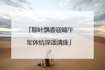粽叶飘香迎端午 军休情深颂清廉
