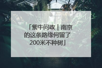 紫牛问政｜南京的这条路缘何留了200米不种树
