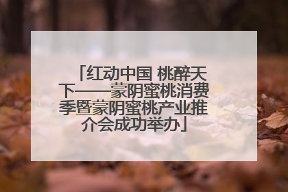 红动中国 桃醉天下——蒙阴蜜桃消费季暨蒙阴蜜桃产业推介会成功举办