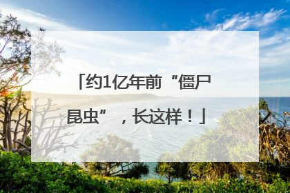 约1亿年前“僵尸昆虫”，长这样！