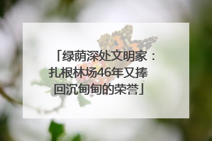 绿荫深处文明家：扎根林场46年又捧回沉甸甸的荣誉