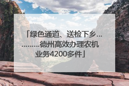 绿色通道、送检下乡…………德州高效办理农机业务4200多件