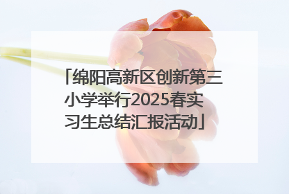 绵阳高新区创新第三小学举行2025春实习生总结汇报活动