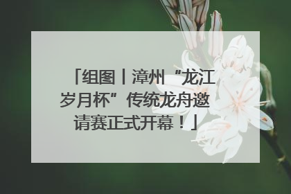 组图丨漳州“龙江岁月杯”传统龙舟邀请赛正式开幕！