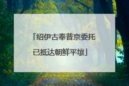 绍伊古奉普京委托已抵达朝鲜平壤