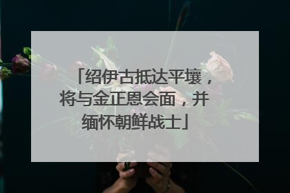 绍伊古抵达平壤，将与金正恩会面，并缅怀朝鲜战士