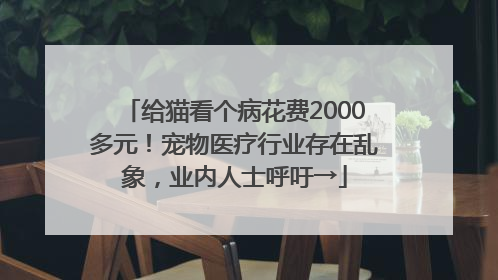给猫看个病花费2000多元！宠物医疗行业存在乱象，业内人士呼吁→