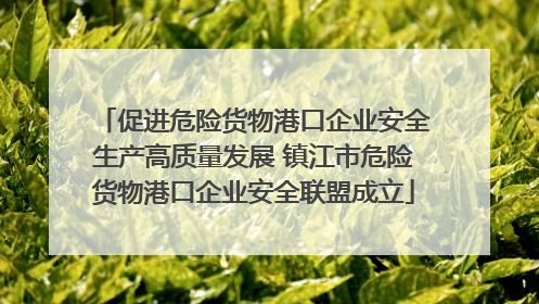 促进危险货物港口企业安全生产高质量发展 镇江市危险货物港口企业安全联盟成立