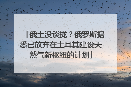 俄土没谈拢？俄罗斯据悉已放弃在土耳其建设天然气新枢纽的计划