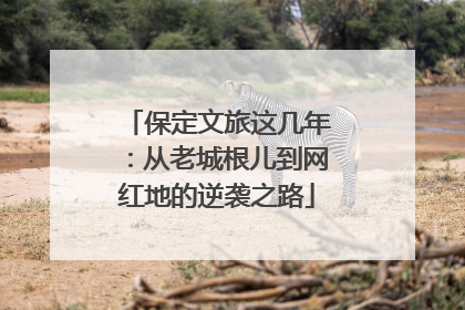 保定文旅这几年：从老城根儿到网红地的逆袭之路