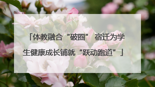 体教融合“破圈” 宿迁为学生健康成长铺就“跃动跑道”
