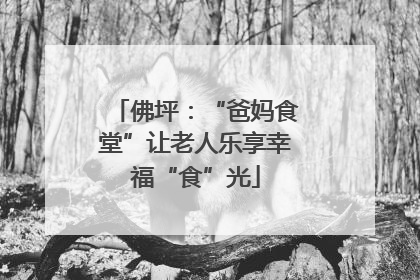 佛坪：“爸妈食堂”让老人乐享幸福“食”光