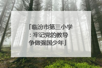 临汾市第三小学：牢记党的教导 争做强国少年